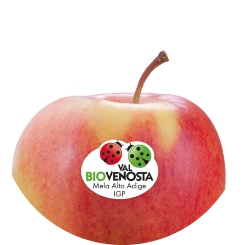 Pinova bio