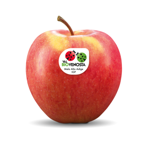 Pinova bio