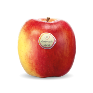 Ambrosia™
