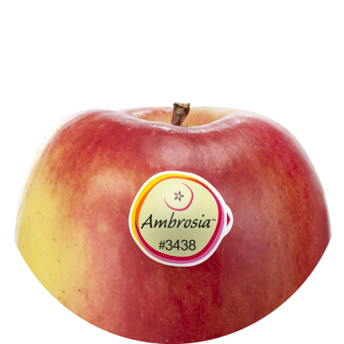 Ambrosia™
