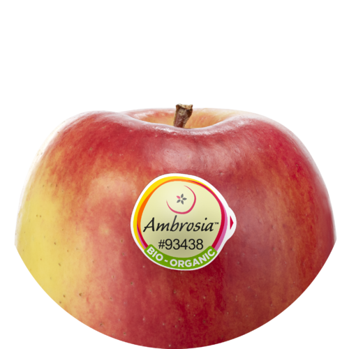 Ambrosia bio