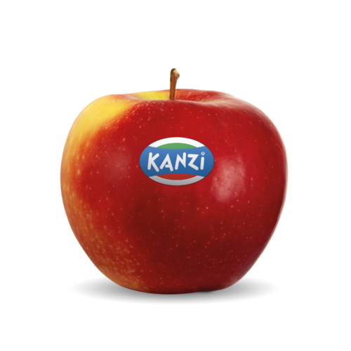 Nicoter / Kanzi®
