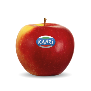 Nicoter / Kanzi®