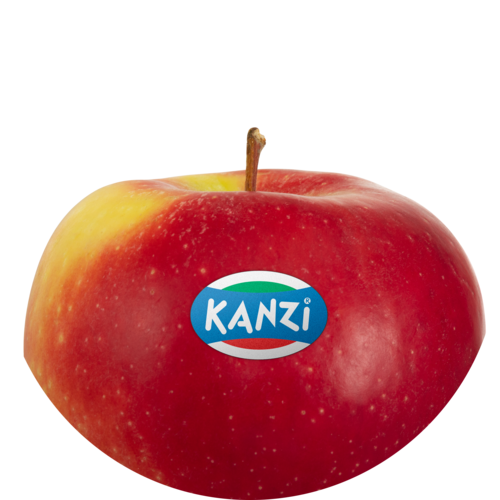 Nicoter / Kanzi®