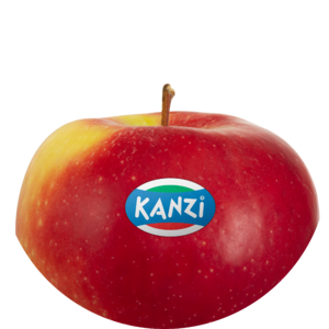 Nicoter / Kanzi®