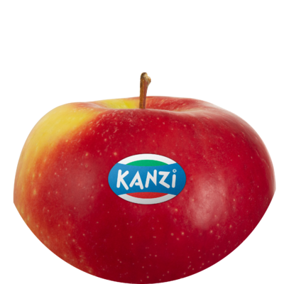 Nicoter / Kanzi®