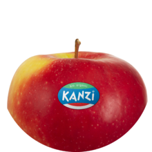 Nicoter / Kanzi® bio
