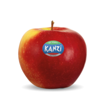 Nicoter / Kanzi®
