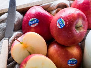 Nicoter / Kanzi®