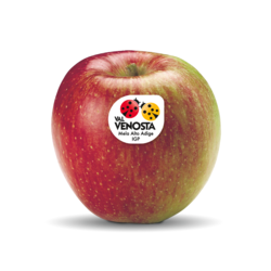 Braeburn