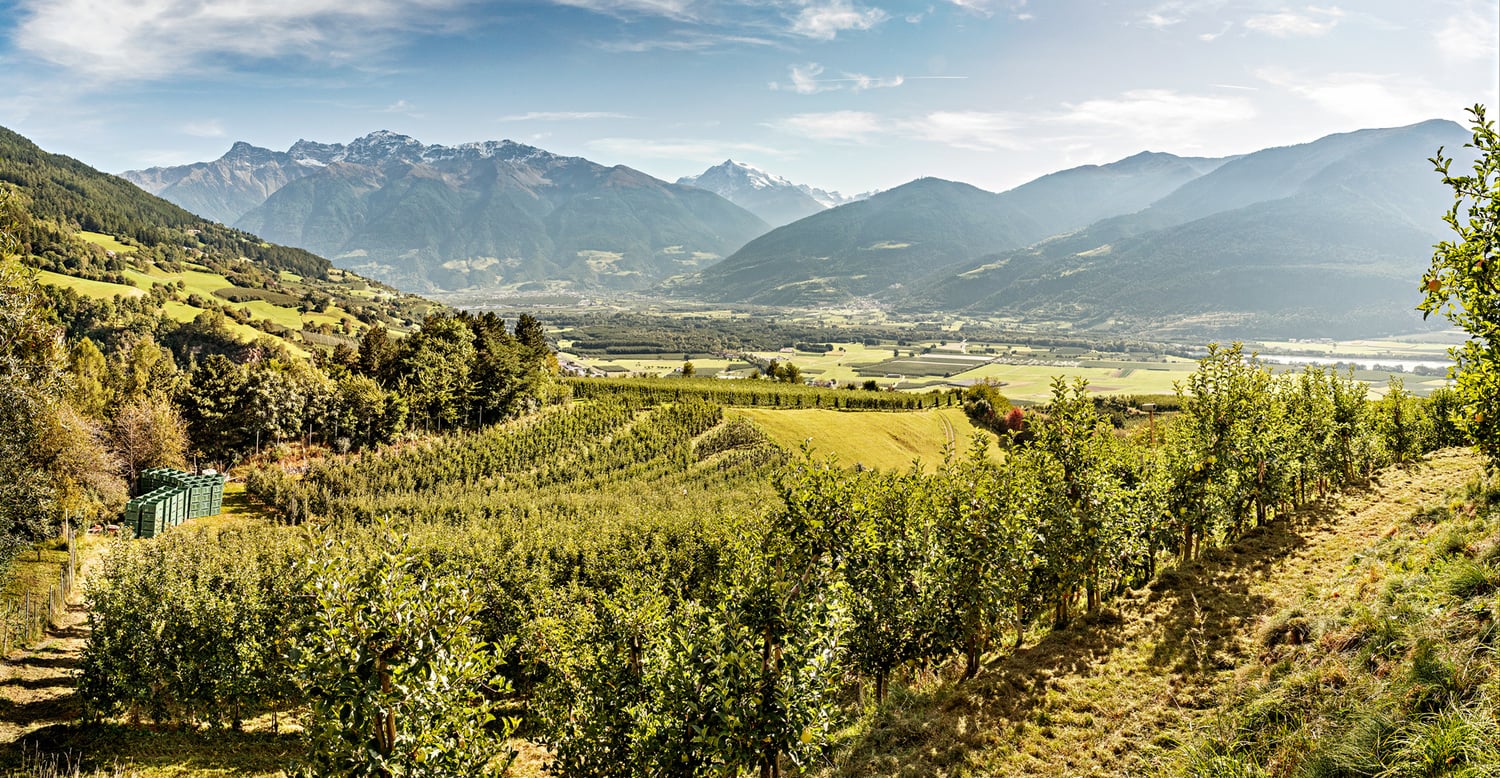Apfel-Zuhause Vinschgau