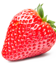 I piccoli frutti di montagna