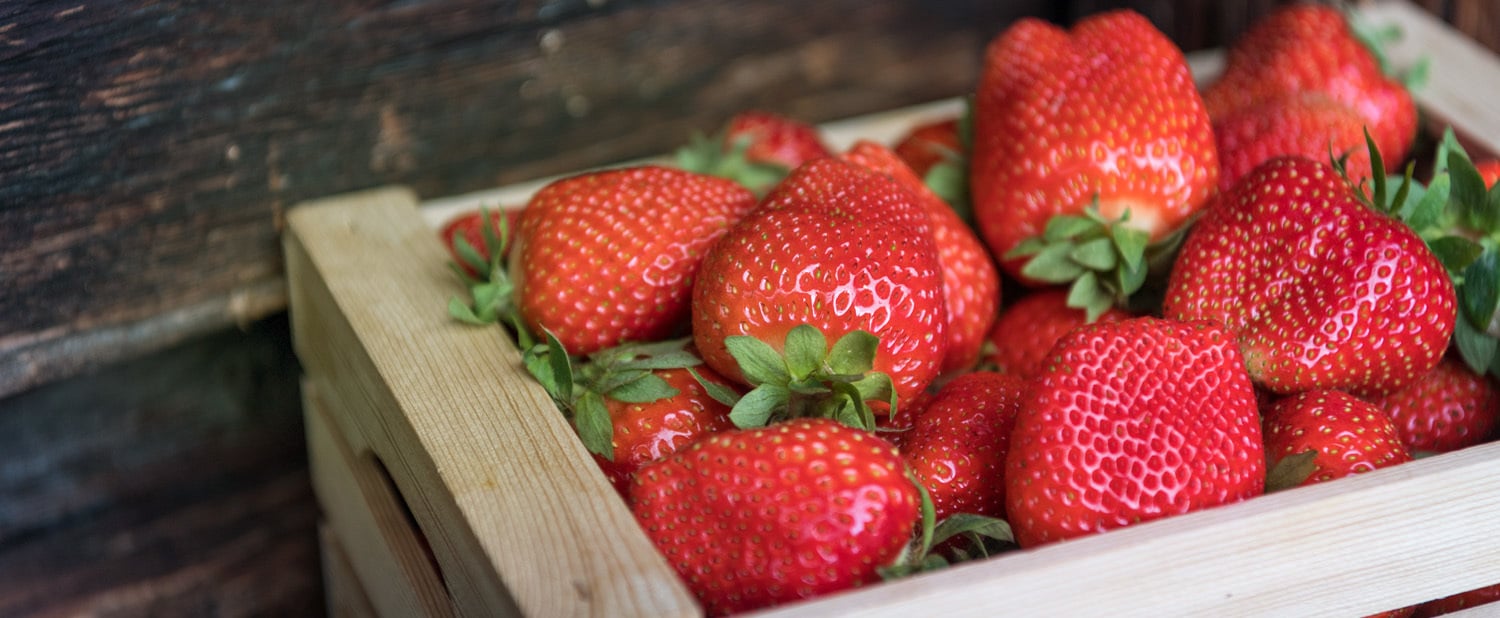 Berries