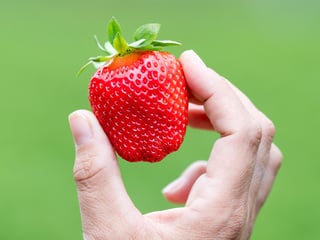 Erdbeeren