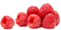 Lamponi