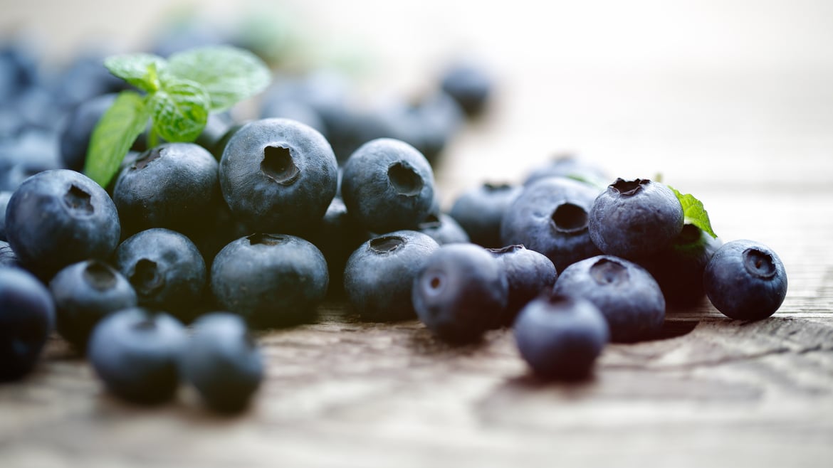 Heidelbeeren aus Südtirol
