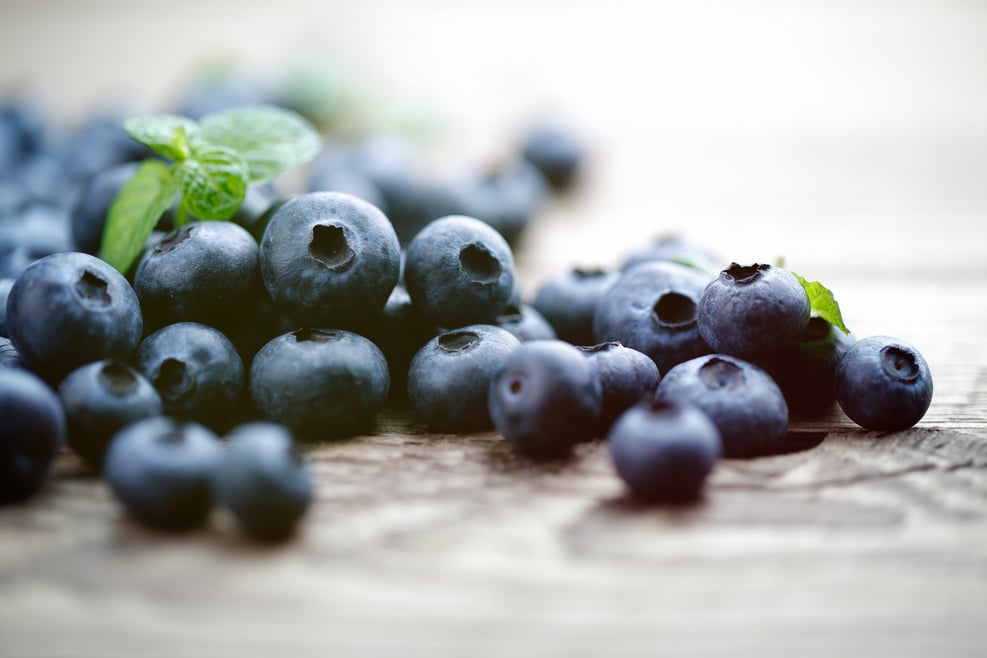 Heidelbeeren aus Südtirol