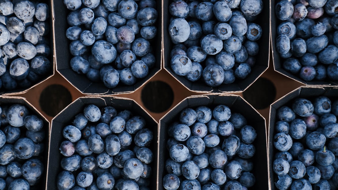 Heidelbeeren aus Südtirol
