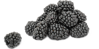 Brombeeren