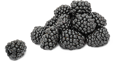 Brombeeren