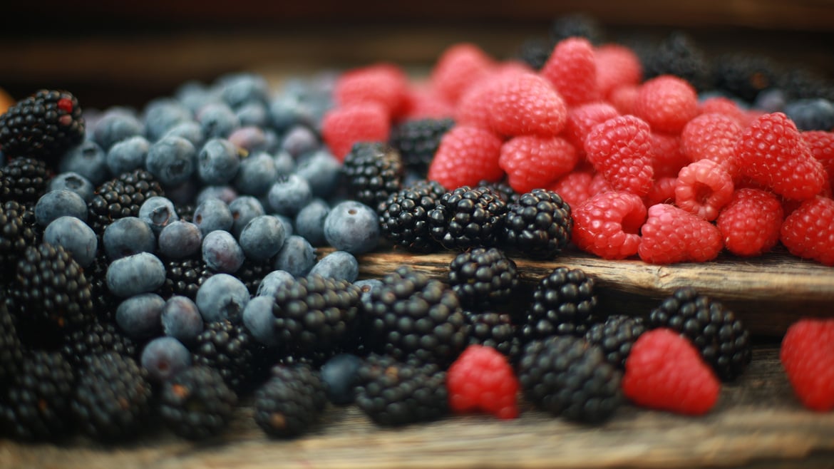 Blackberries South Tyrol