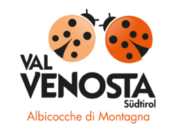Albicocche