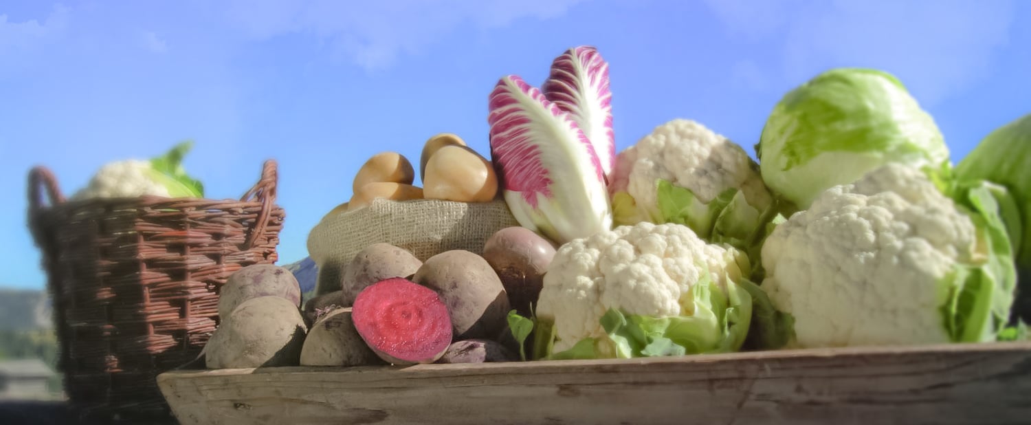 Frische mit Biss und Knack