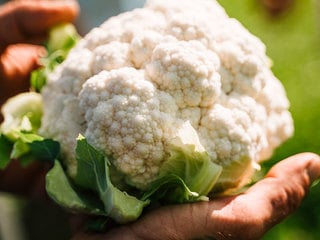 Cavolfiore