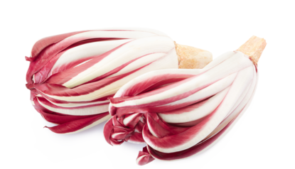 Radicchio