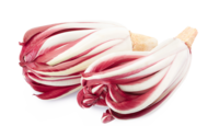 Radicchio