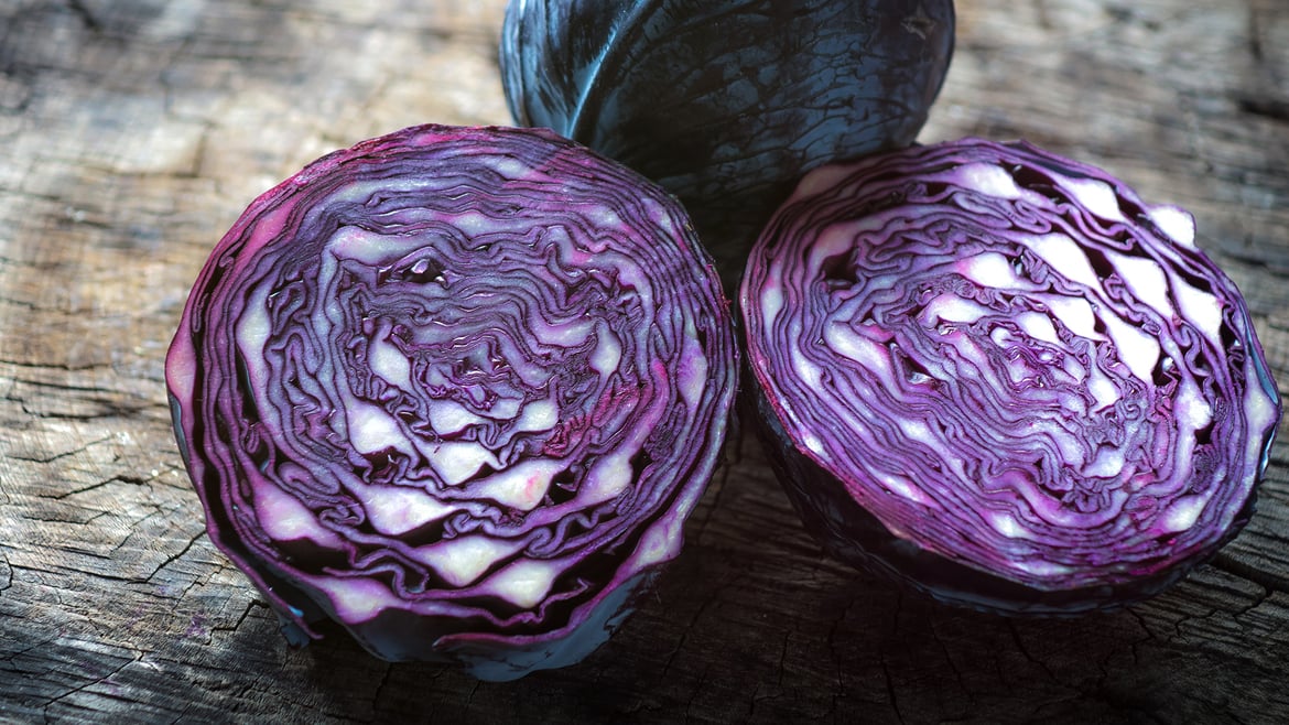 Blaukraut (Rotkohl) aus Südtirol