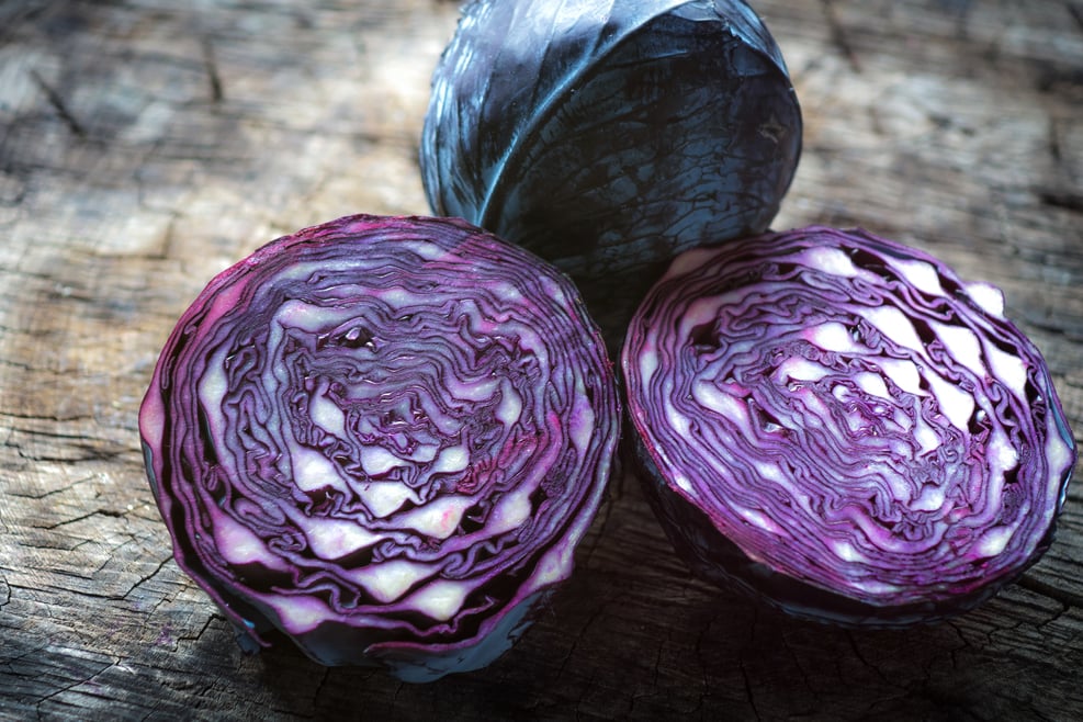 Blaukraut (Rotkohl) aus Südtirol