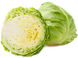Kraut (Weißkohl)