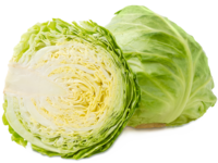 Cavolo cappuccio