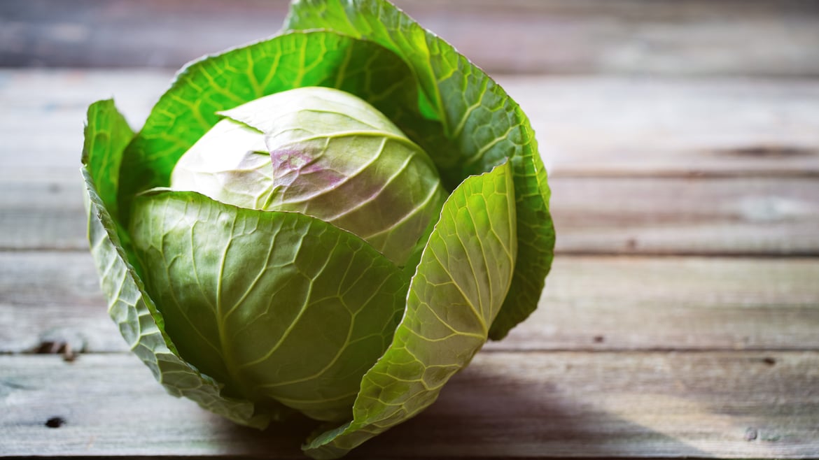 Kraut (Weißkohl) aus Südtirol