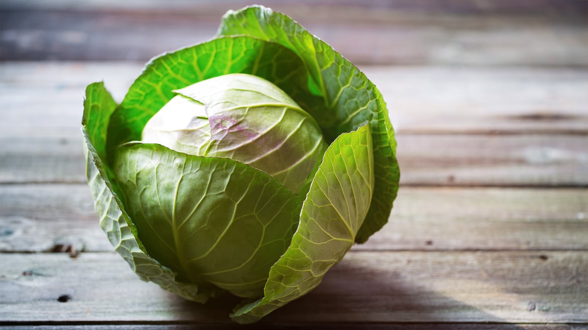 Kraut (Weißkohl) aus Südtirol