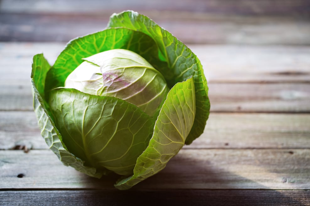 Kraut (Weißkohl) aus Südtirol