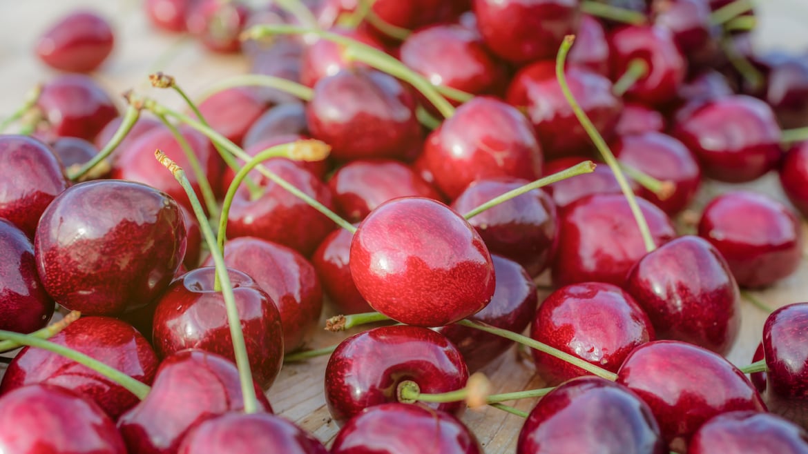 Cherries South Tyrol