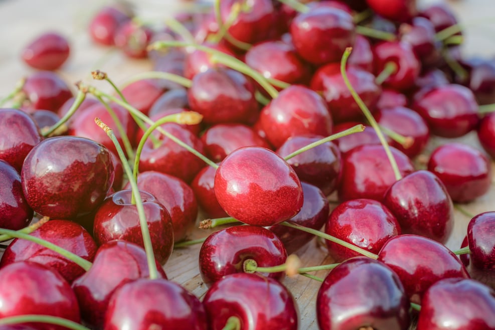 Cherries South Tyrol