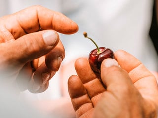 Cherries