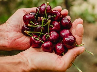 Cherries