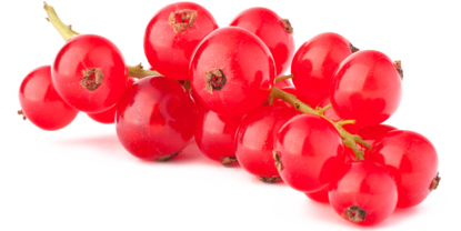 Rote Johannisbeeren