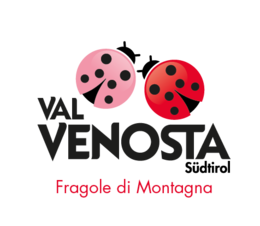 fresas