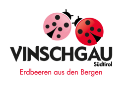 Erdbeeren
