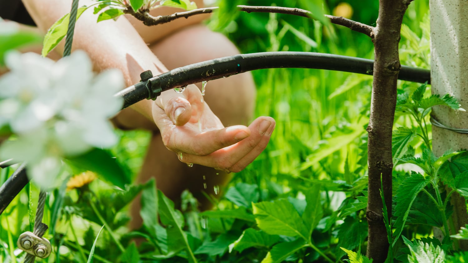 Irrigation