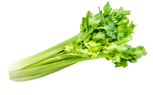 Sedano