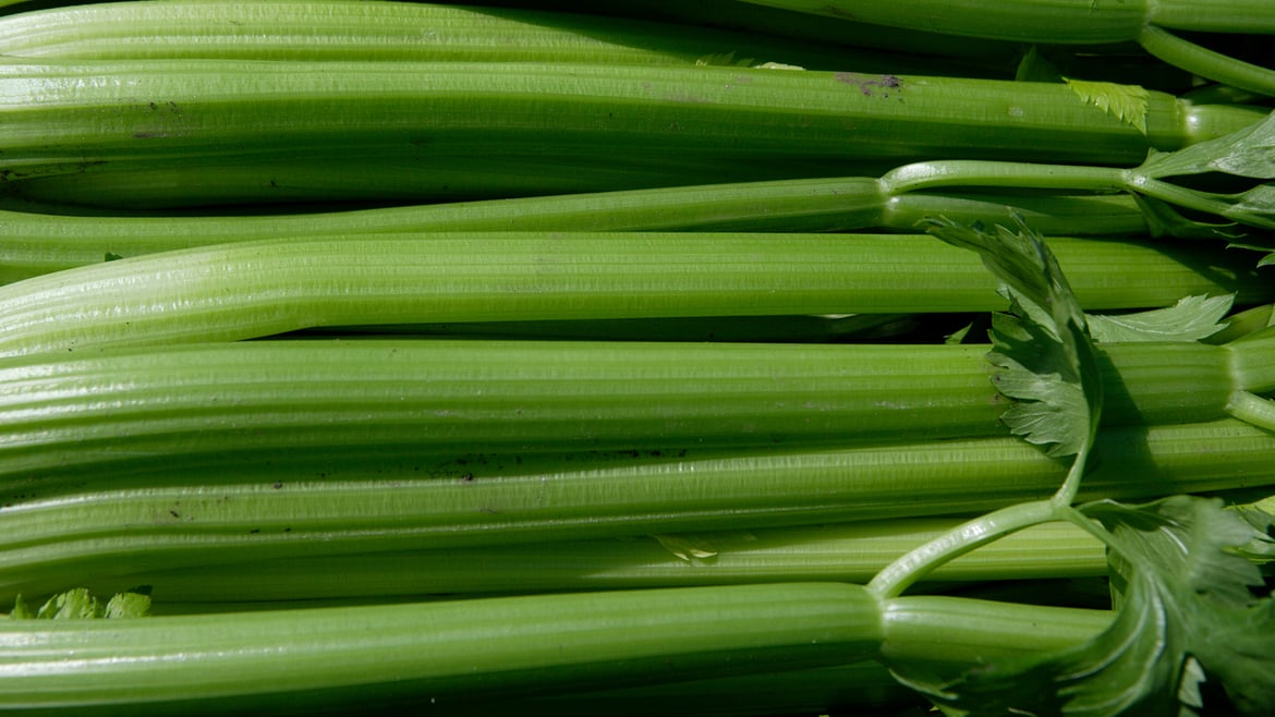 Celery