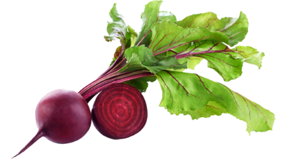 Rote Beete