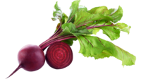 Barbabietola rossa