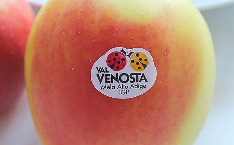 Mela Val Venosta in cucina<br>con le Blogger!